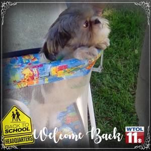 Meet your Posher, Terri